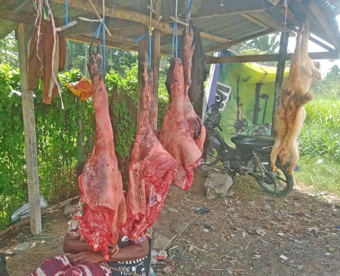 Masyarakat Lokal saat menjual Daging Hasil Buruan di Hutan Benguin Progo, foto : nesta/jeratpapua.org